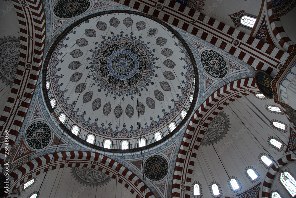 (158) moschea nuova istanbul