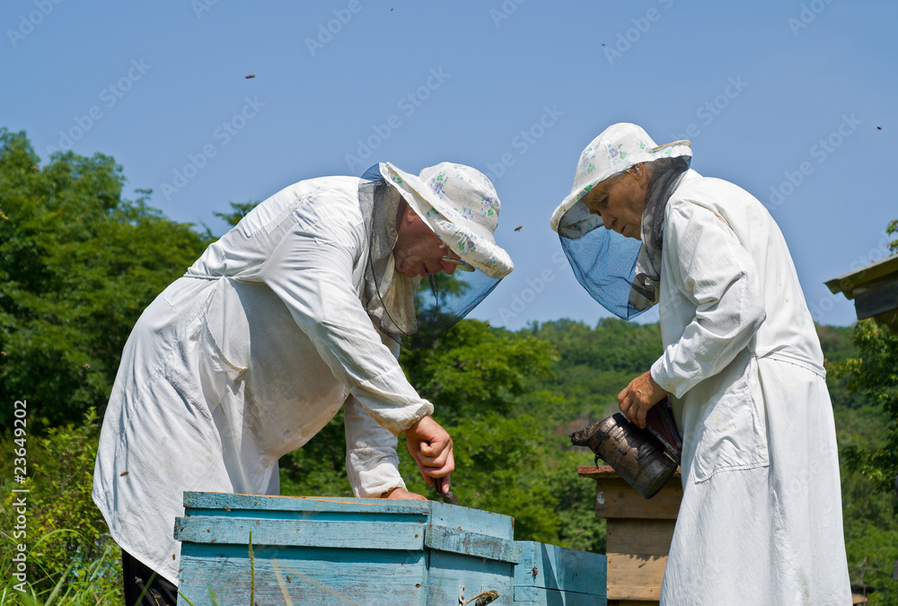 Beekeepers 14 Beekeepers 14