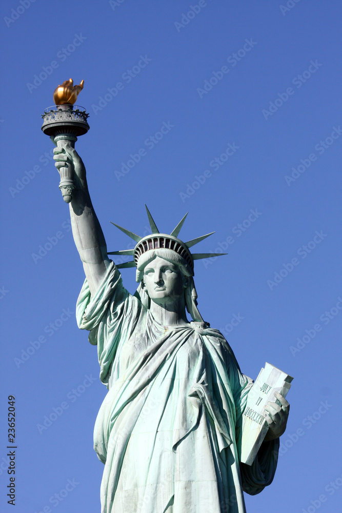 Fototapeta premium Miss Liberty