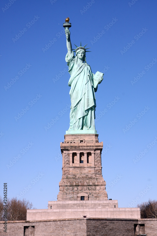 Fototapeta premium Miss Liberty