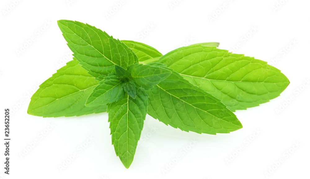 Fresh mint Fresh mint