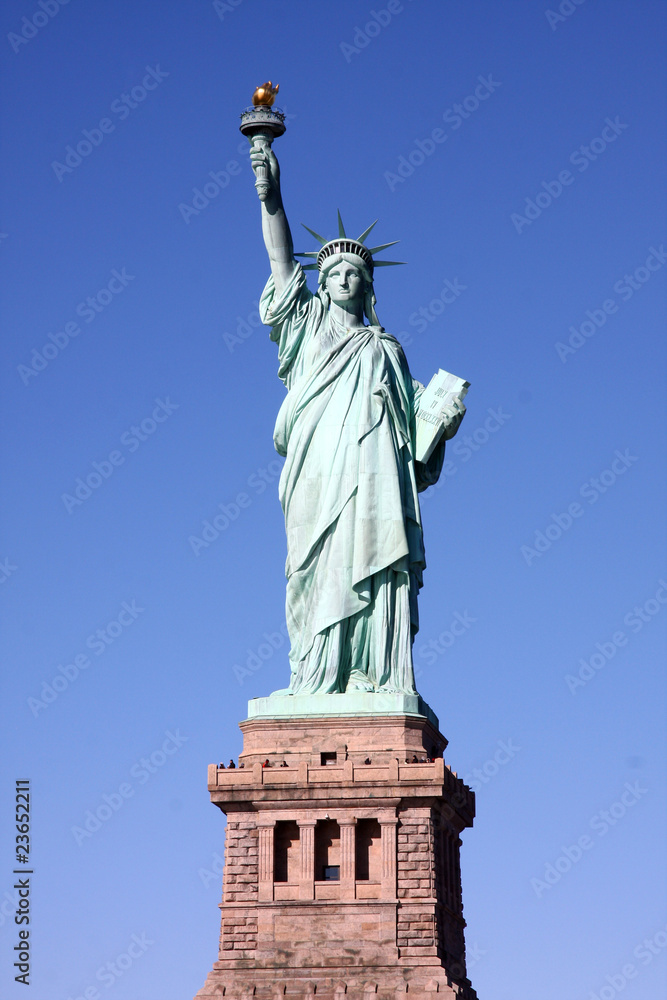 Obraz premium Miss Liberty