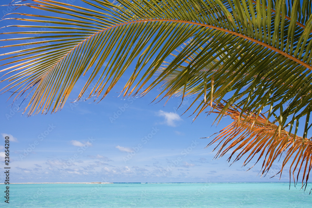 Naklejka premium Am Strand unter Palmen - At the beach under palms