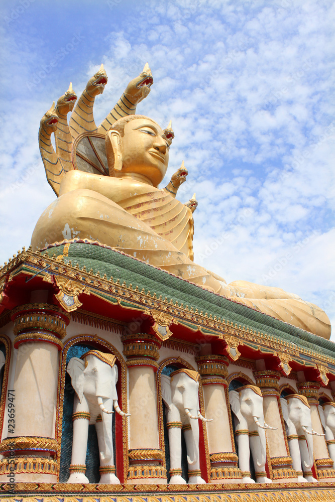 Fototapeta premium big buddha