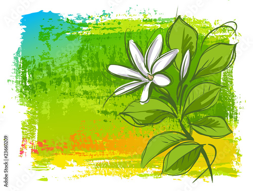 Tropical flower