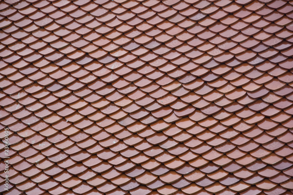 brown roof brown roof