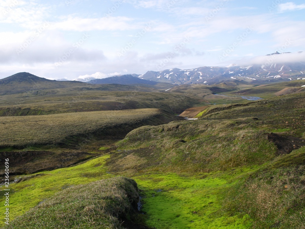 Fototapeta premium OLYMPUS DIGITAL CAMERA