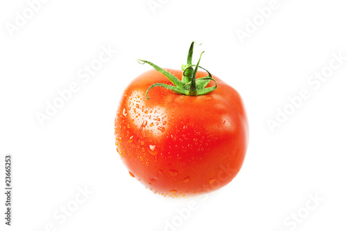 Wallpaper Mural tomatoes with water drops isolated on white Torontodigital.ca