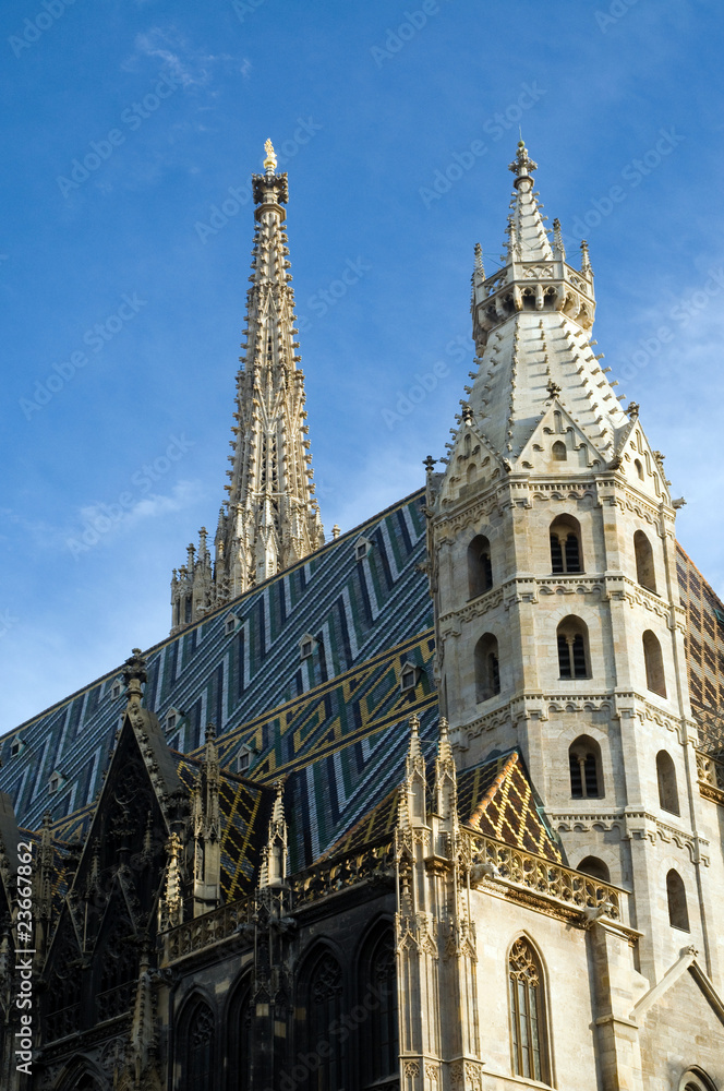 Fototapeta premium der Stephansdom in Wien
