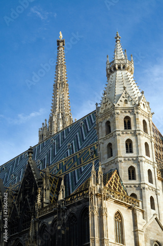 der Stephansdom in Wien © Jeannot Weber