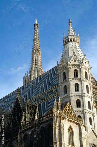 der Stephansdom in Wien