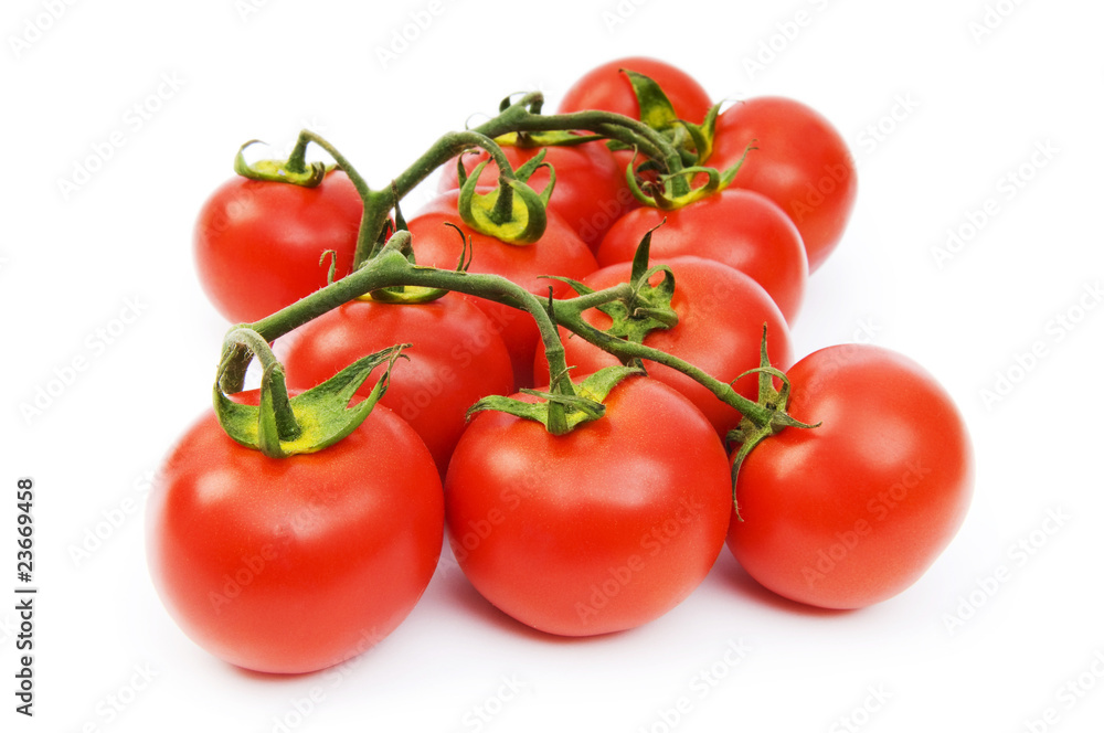 Red tomatoes isolated on the white background