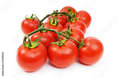 Red tomatoes isolated on the white background © Elnur