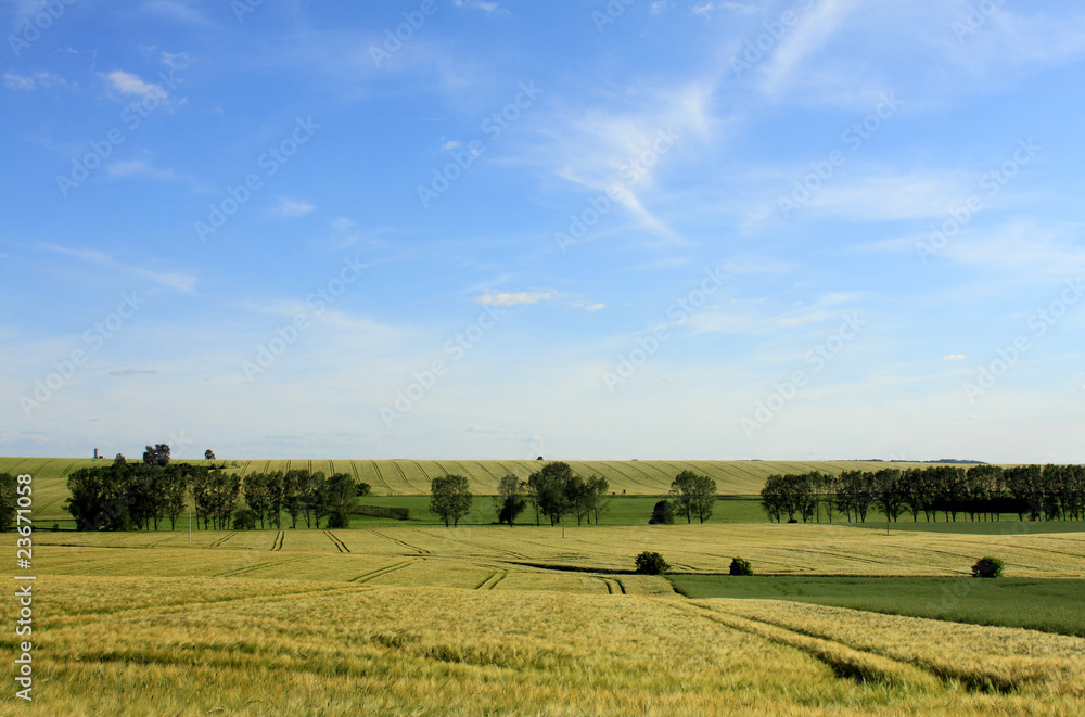 agricultural landscape and cloudy blue sky