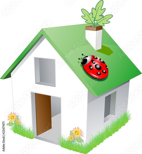 Eco Casa con Coccinella-Ecological House and Ladybug-Vector