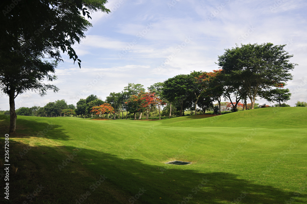 Golf Greens Golf Greens