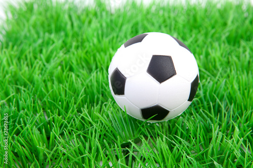 White soccer ball on grass © Sandra van der Steen