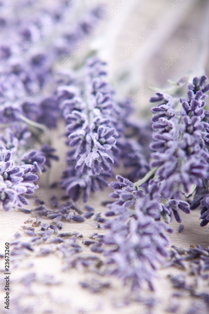 Fototapeta premium Lavendel und Blüten