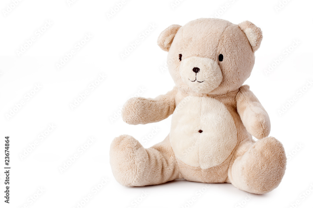 Obraz premium teddy bear