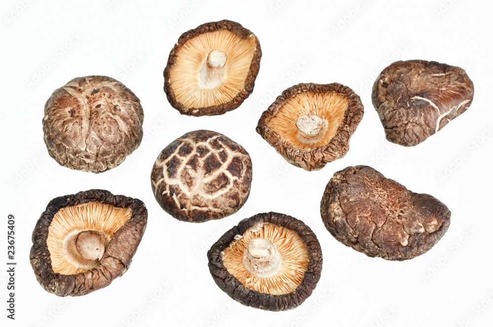 Dried field mushrooms isolated on white