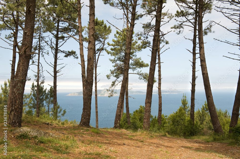 View through trees to Cies Islands Vigo Galicia Spain - obrazy, fototapety, plakaty 