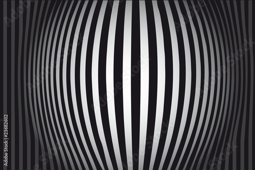 Black and White background vector Zebra