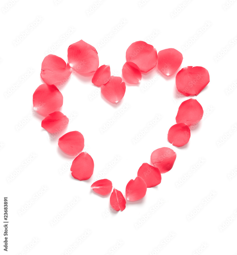 Red Pink Heart Rose Petals