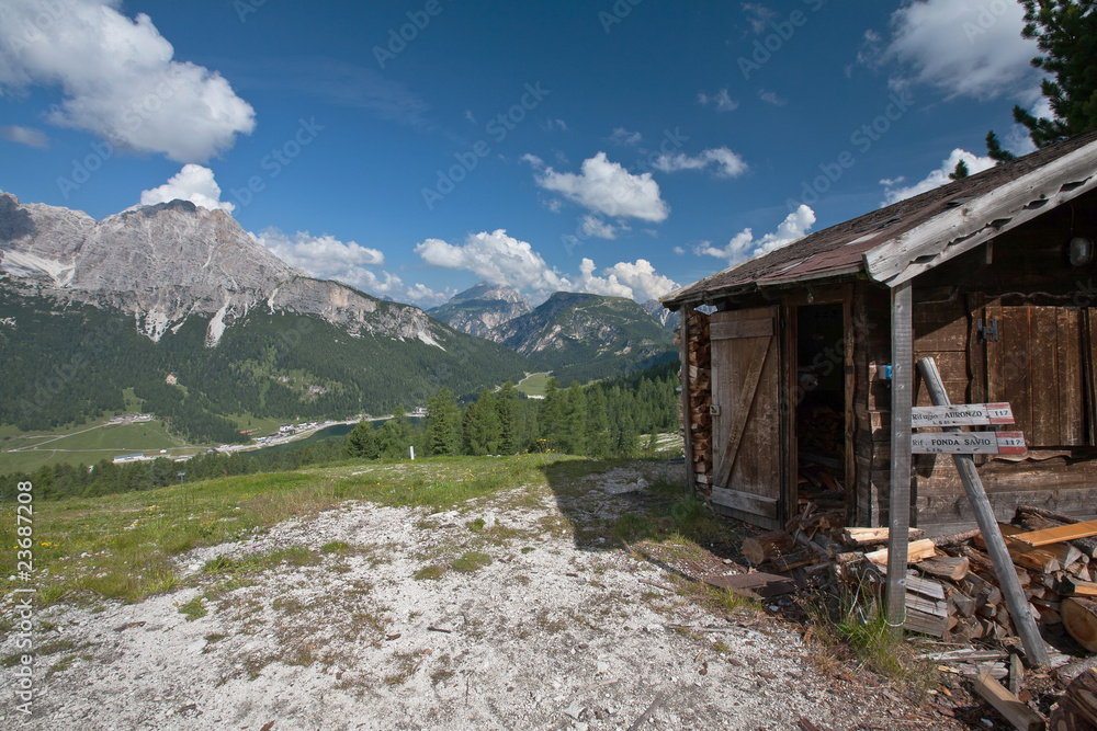 lovely summer alpine scenery