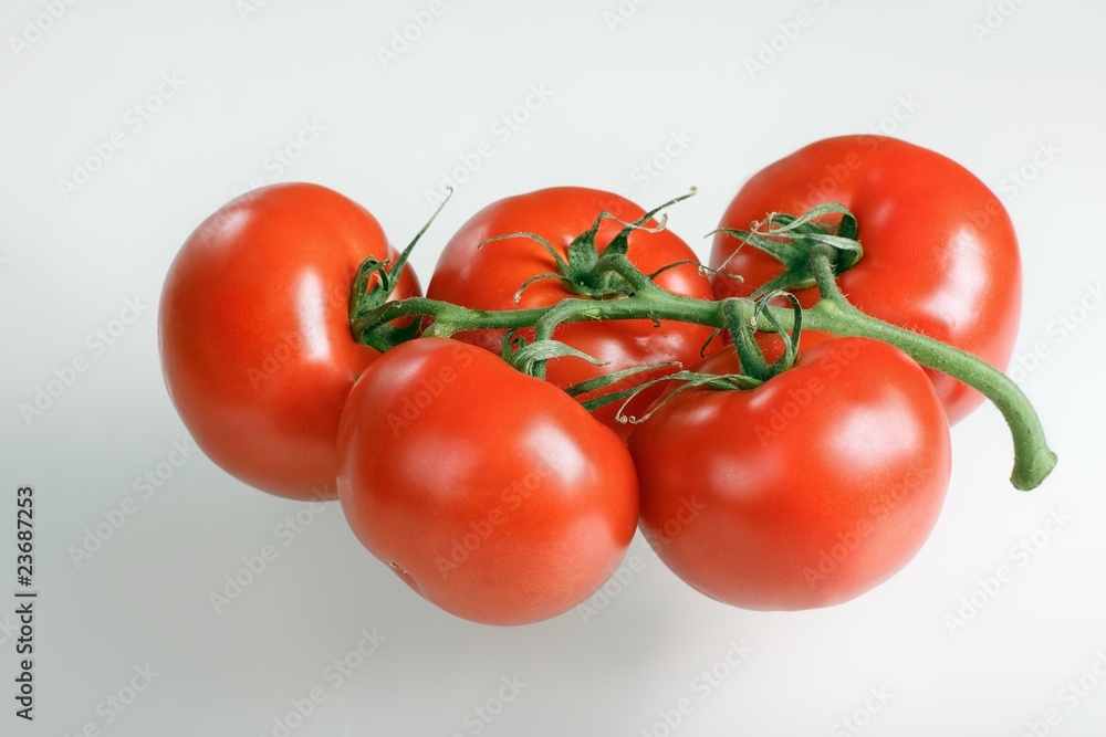 Fresh tomatoes over white