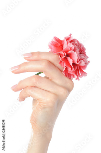 Beautiful hand with perfect french manicure and flower