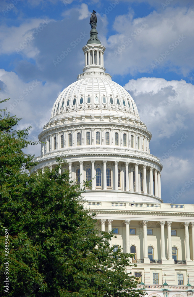Naklejka premium US Capitol in Washington DC