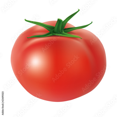 Tomato