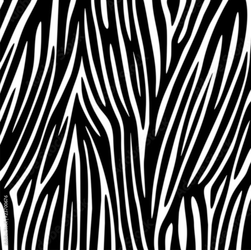 Zebra Texture Vector photo