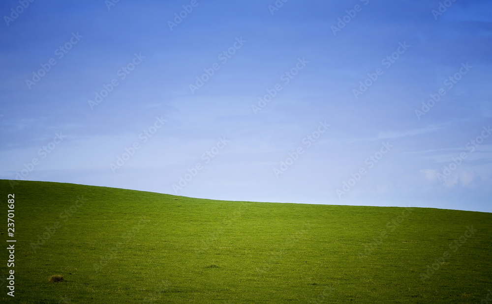 Lush green field, blue sky horizon Lush green field, blue sky horizon