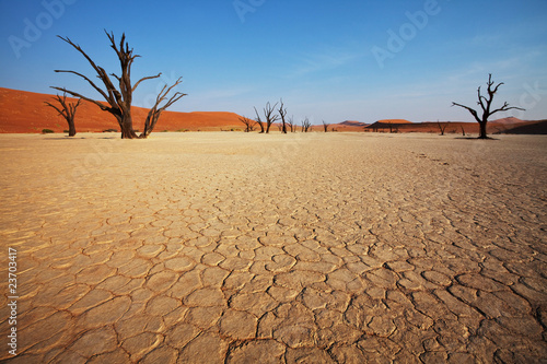 Dead valley in the Namibia