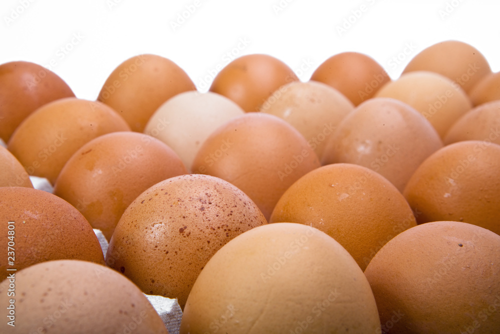 Eggs on white background Eggs on white background