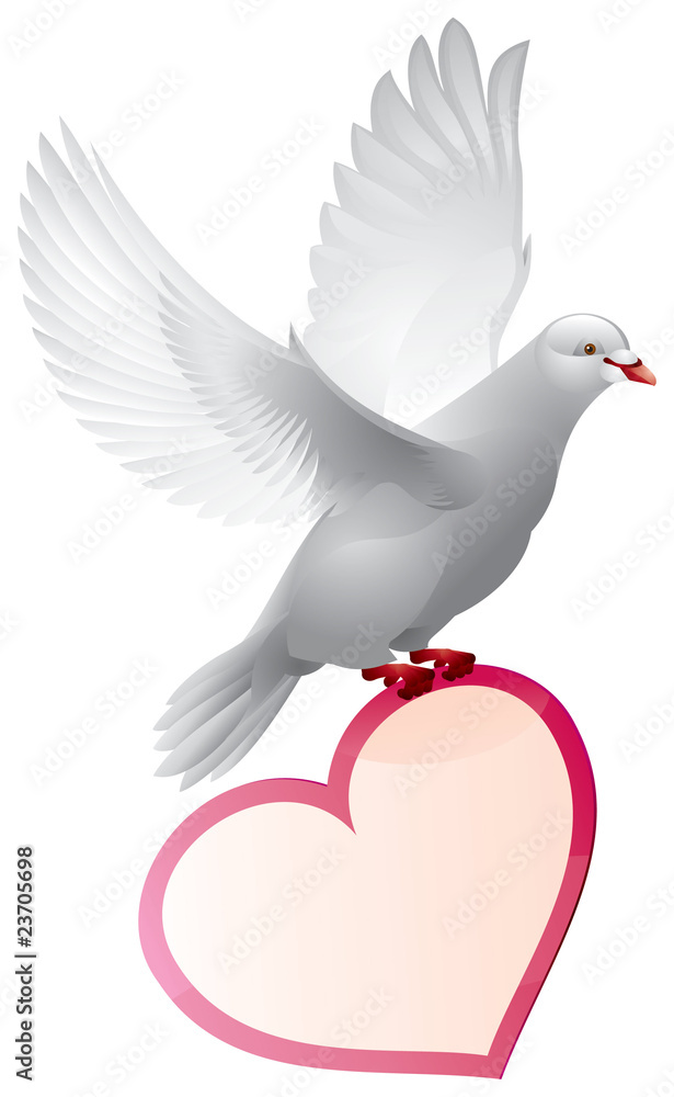 Dove with valentine card Stock Vector | Adobe Stock