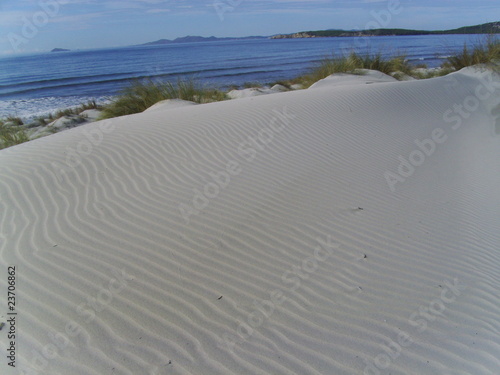 dune in riva al mare photo