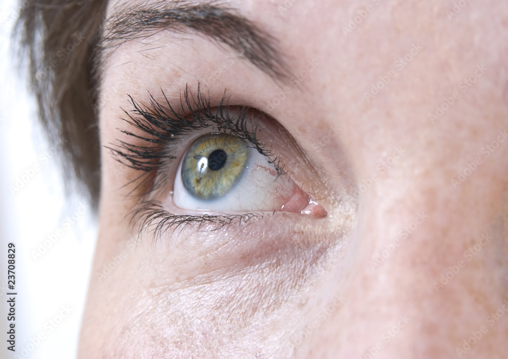 Fototapeta premium Beautiful female eye