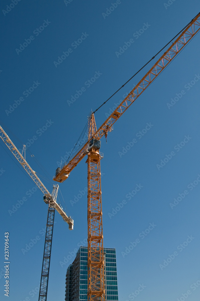 Yellow Crane White Crane Yellow Crane White Crane