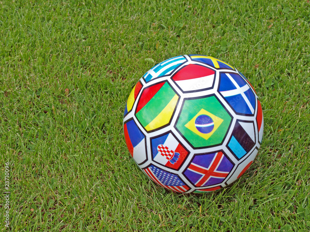 Fototapeta premium International ball 3