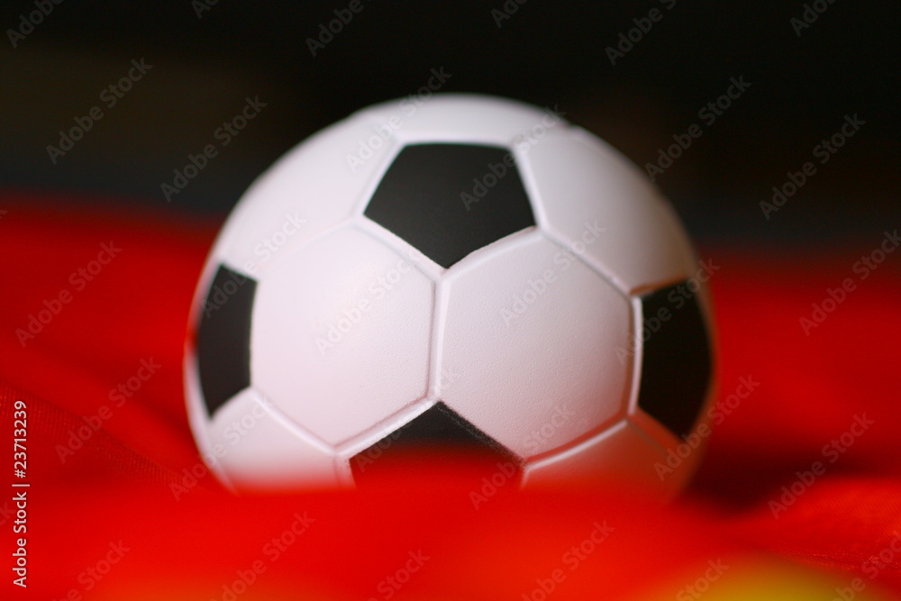 Fototapeta premium Fußball