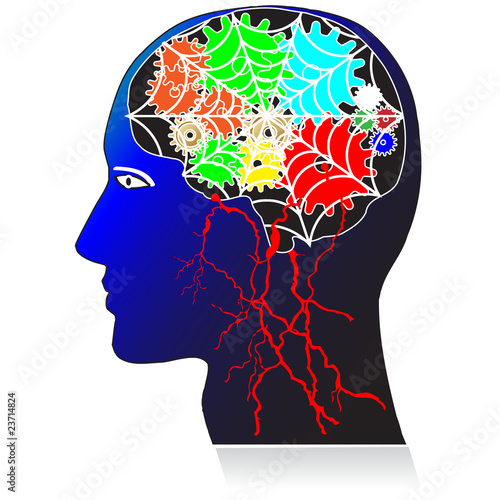 head with brains.Vector