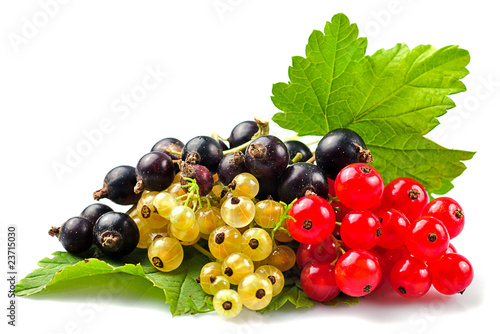 Photos Currants isolated