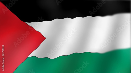 Palestine - waving flag detail photo