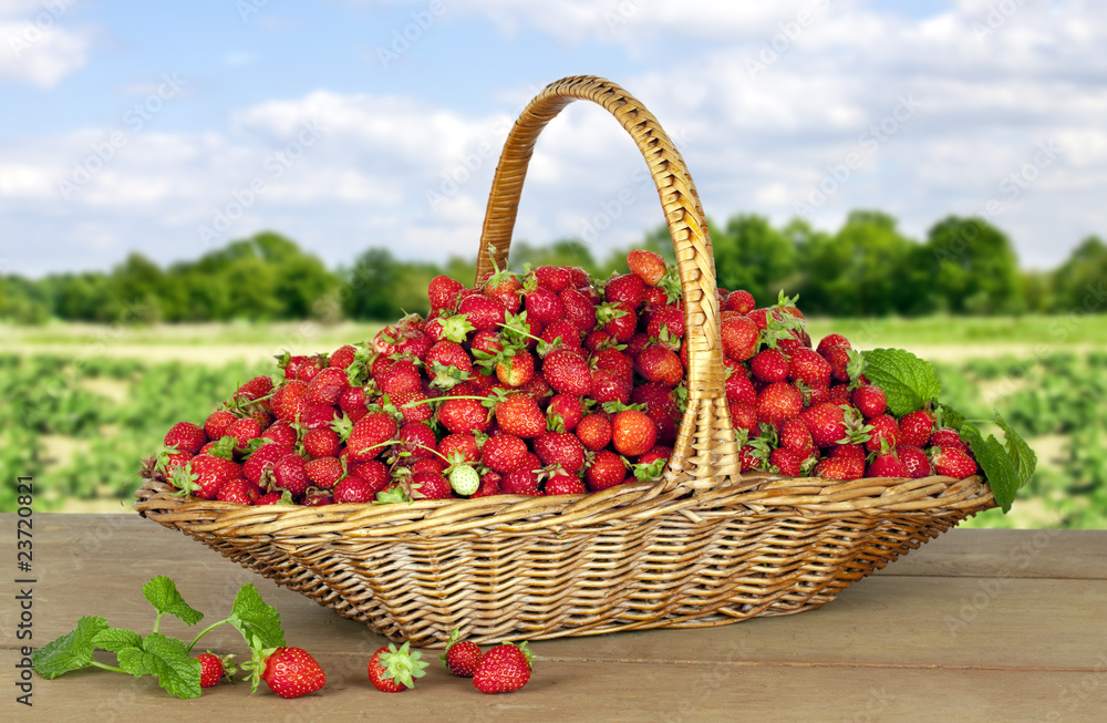 Fresh strawberries in a basket Fresh strawberries in a basket
