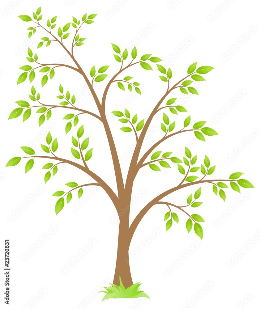 Tree Tree