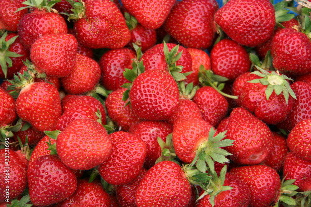 Erdbeeren Erdbeeren
