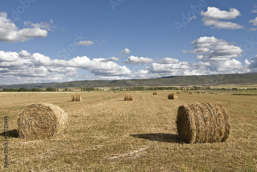 Rulos de paja en la tierra.