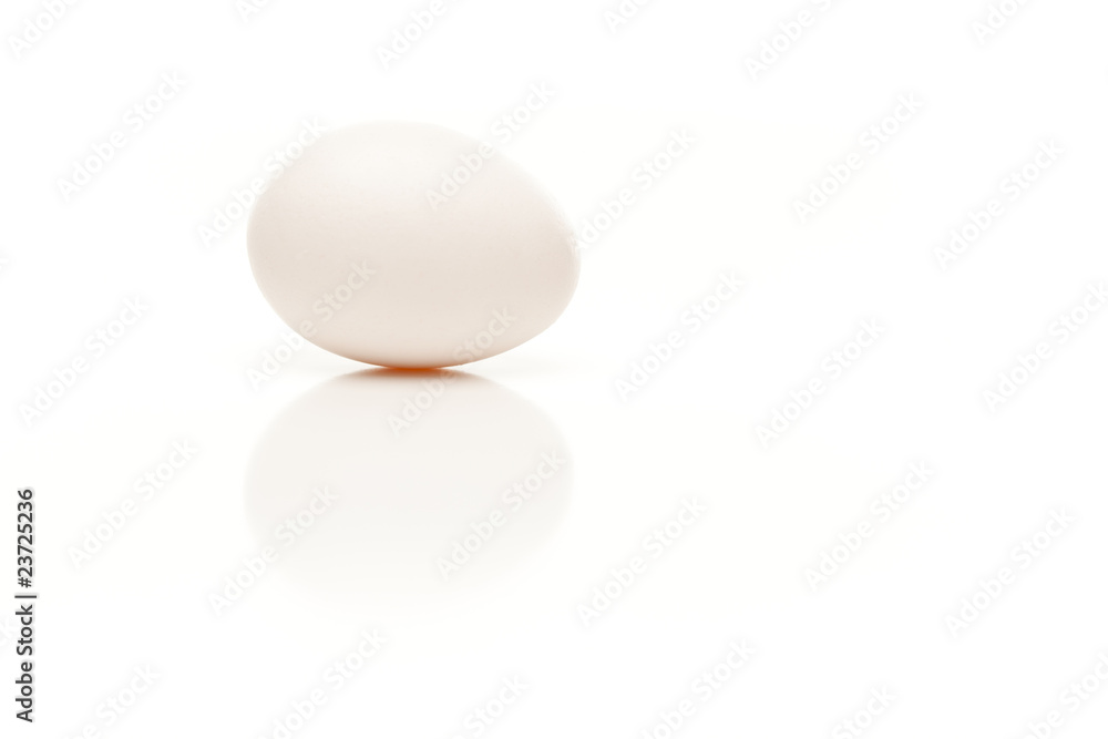 Single EggIsolated on White Background Single EggIsolated on White Background